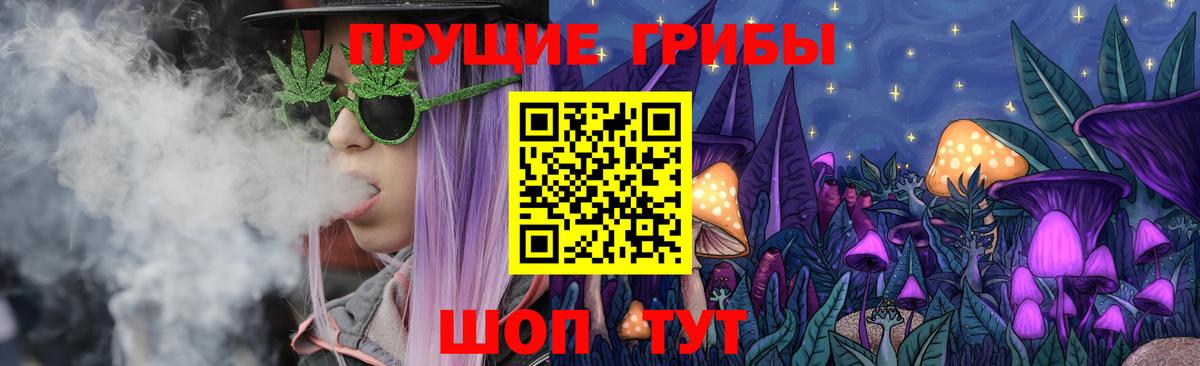 Кострома  Галлюциногенные грибы Psilocybine cubensis  Вход с VPN 
